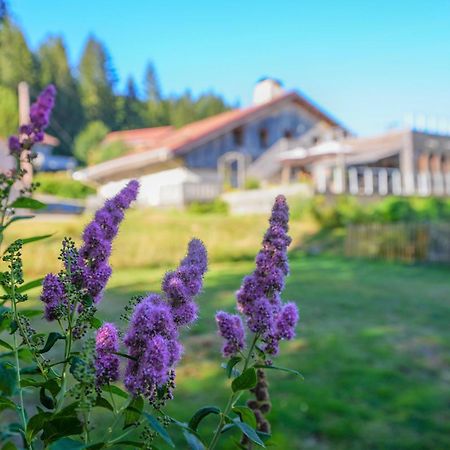 Auberge De La Poulciere جوراردُميه المظهر الخارجي الصورة