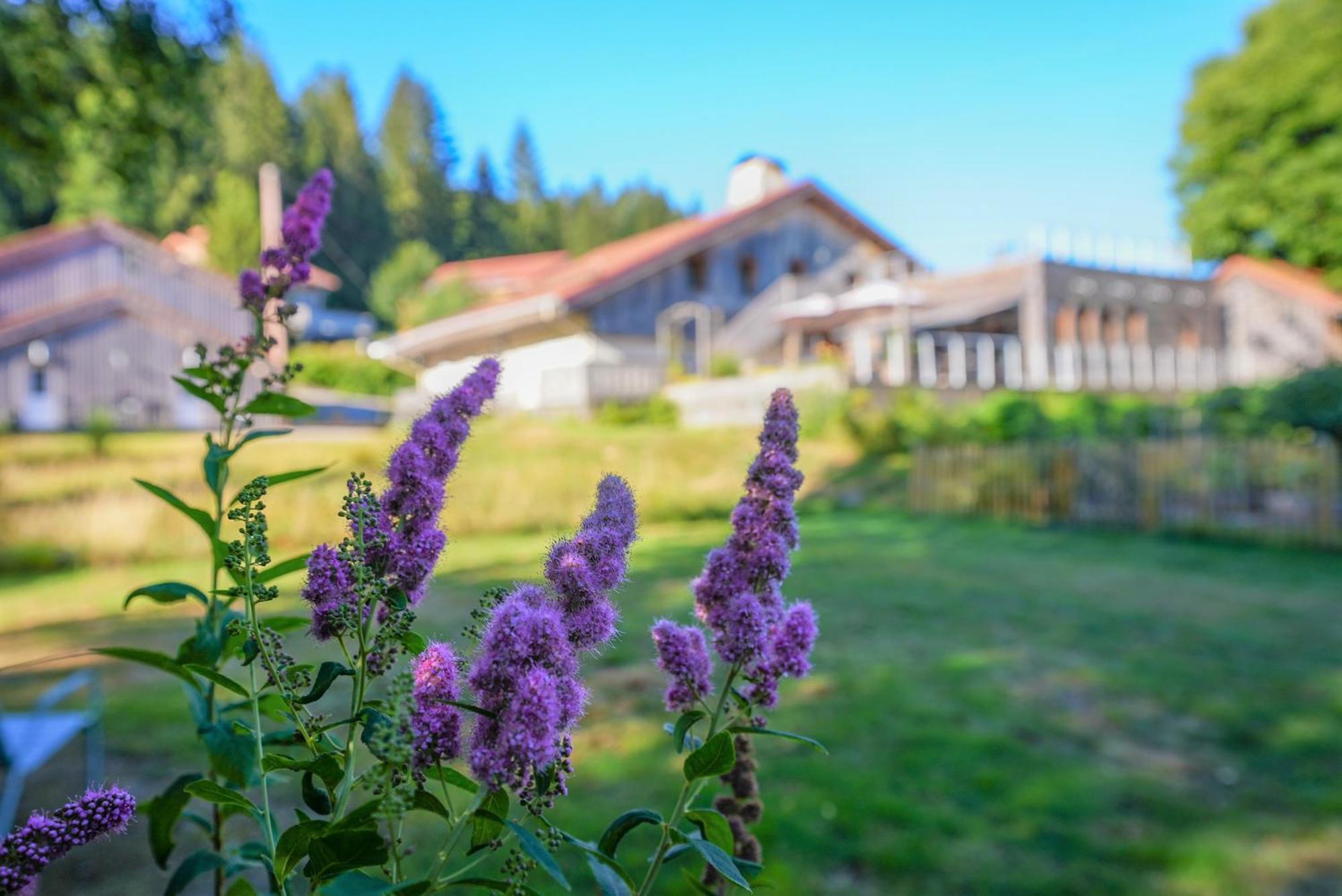 Auberge De La Poulciere جوراردُميه المظهر الخارجي الصورة